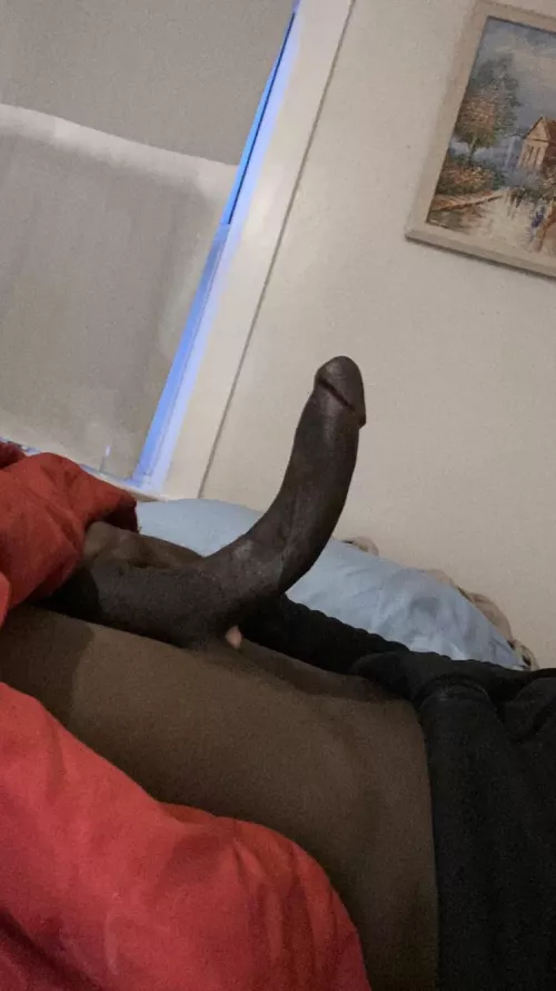 In case you forgot ;) dm me tryna get this nut by Fxxbreezy