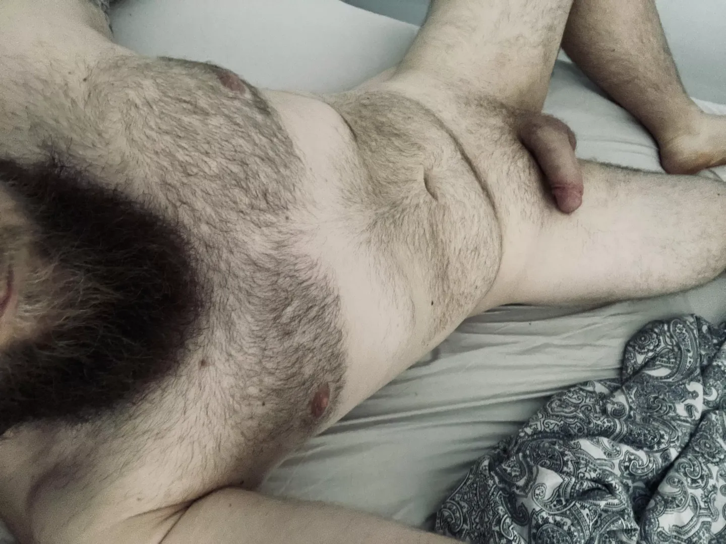 In my bed alone unfortunately! posted by Saculonin