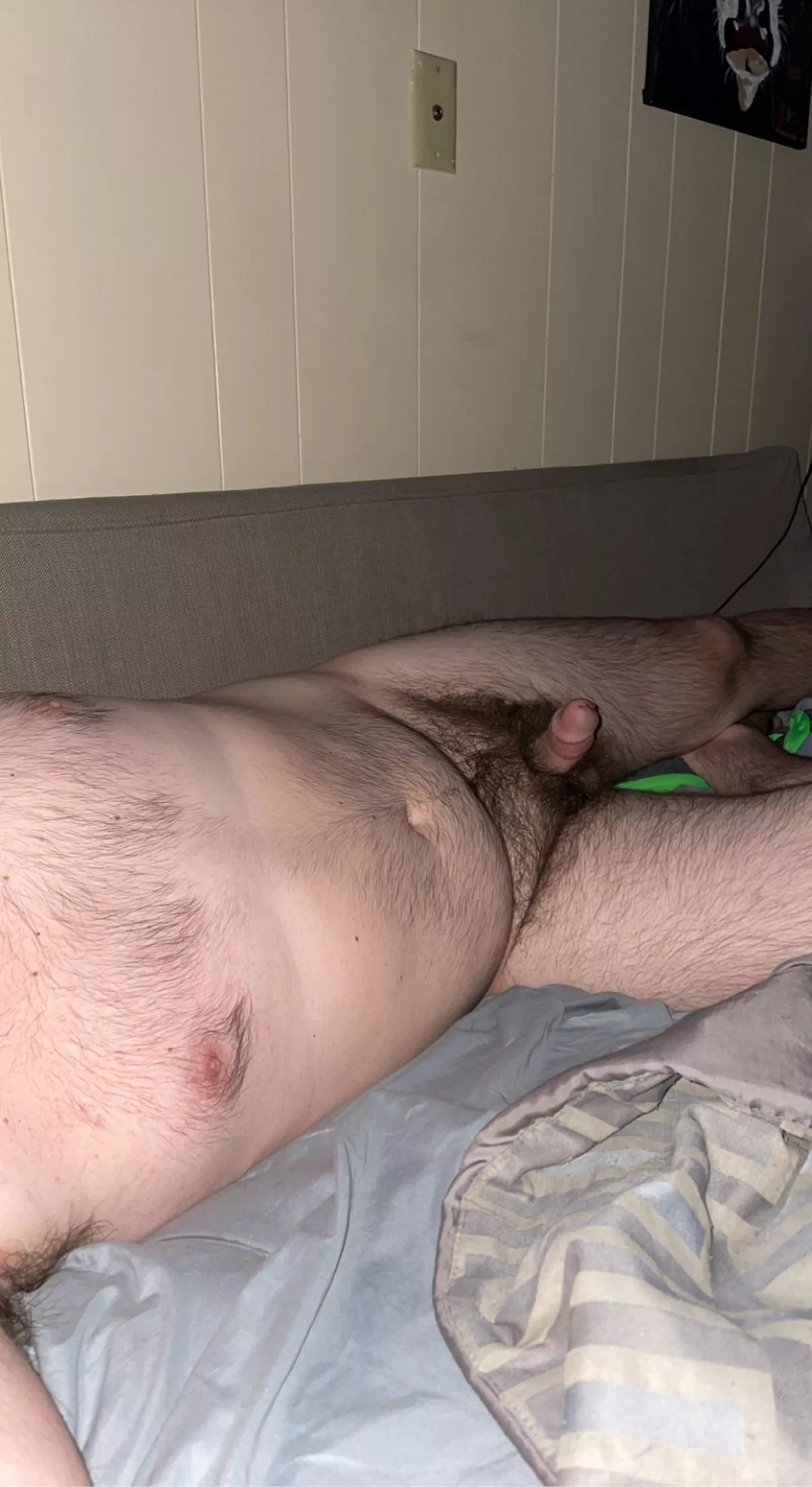 In need of a cuddle buddy tonight! 🥰 posted by andygoal19998