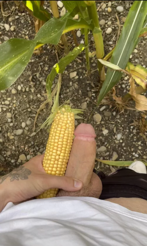 in the corn field 🌽 by xxxredditacount