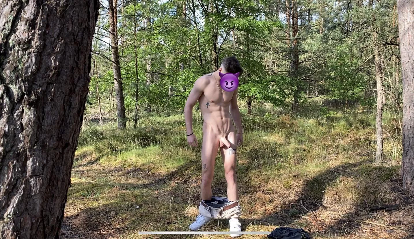 In the Woods 🌳 posted by Game-Boy-7011