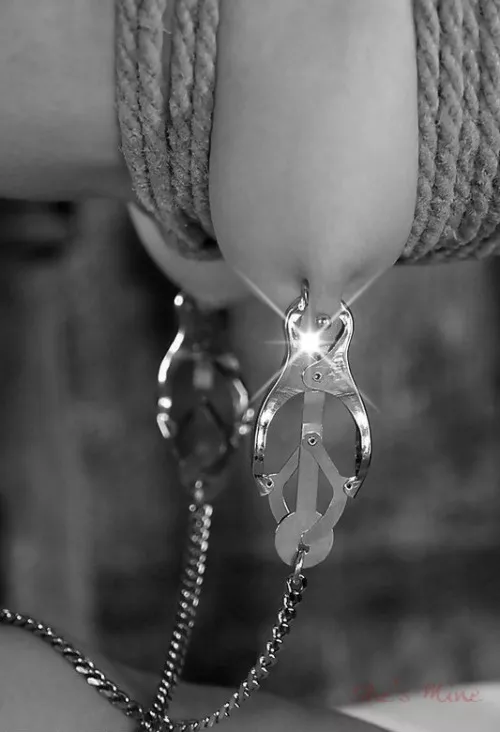 In training by boldamus2