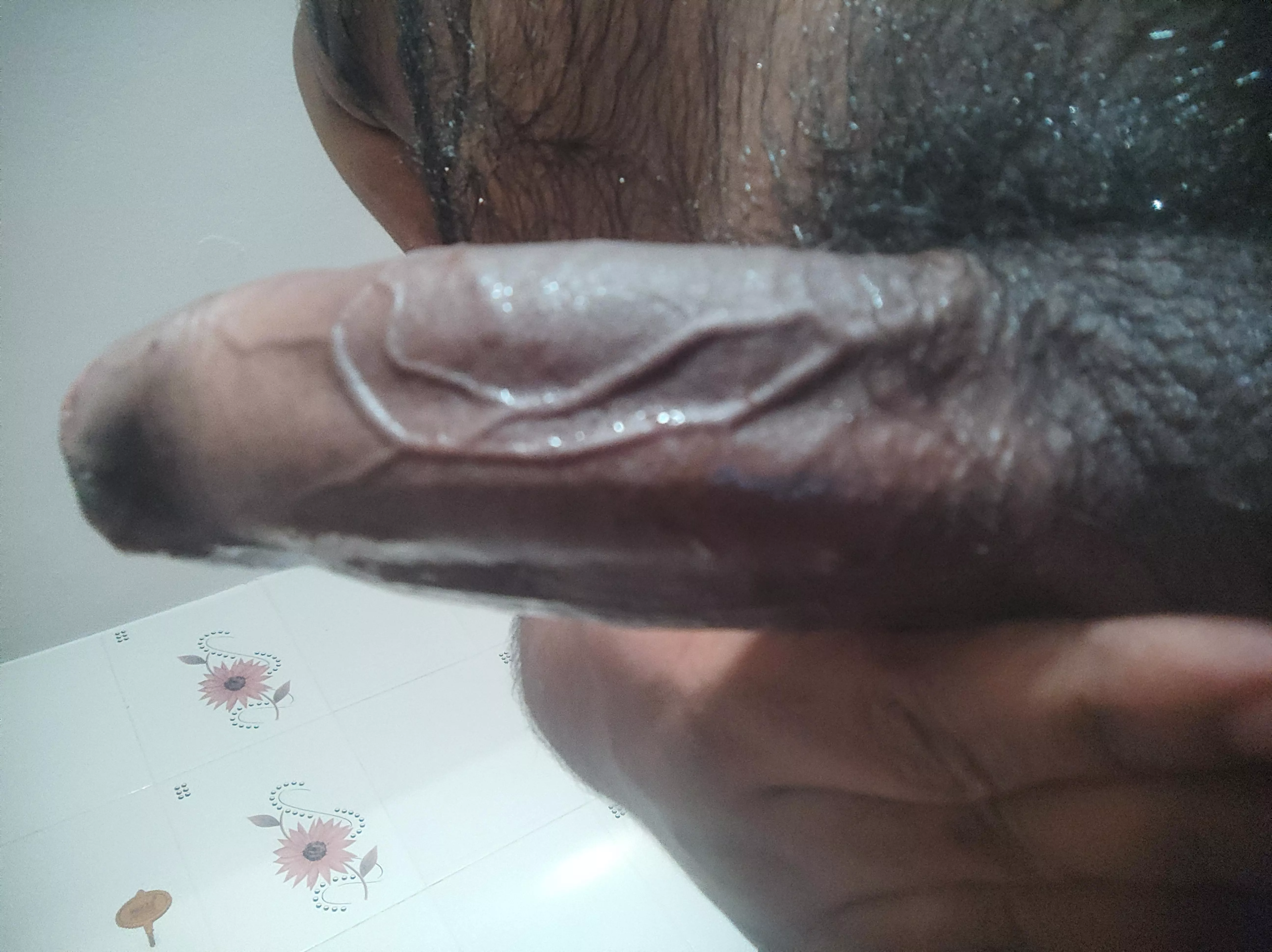 Indian for dinner? posted by baboingboingboing