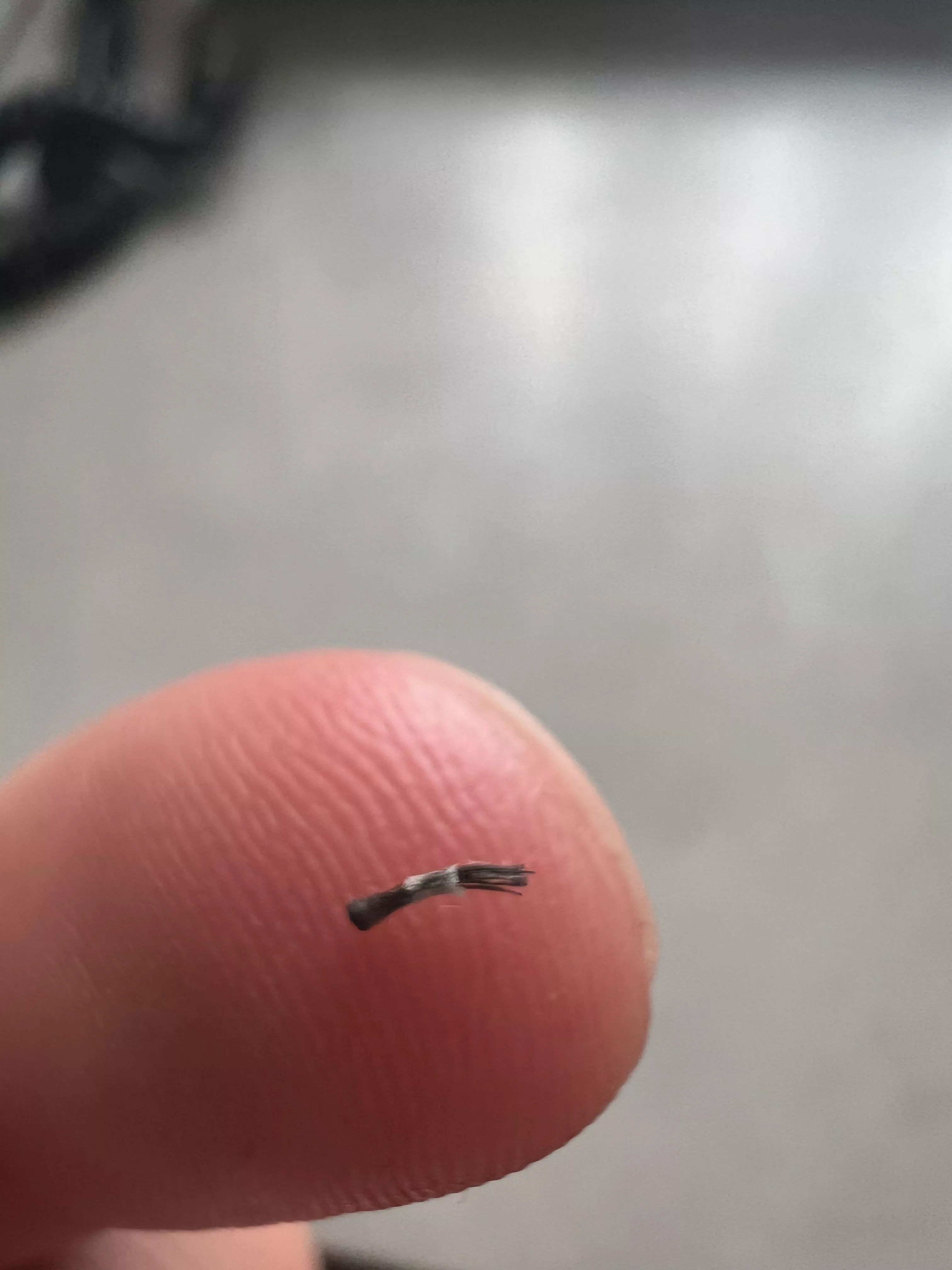 Ingrown 15+ Hairs in 1 posted by MatchNaller