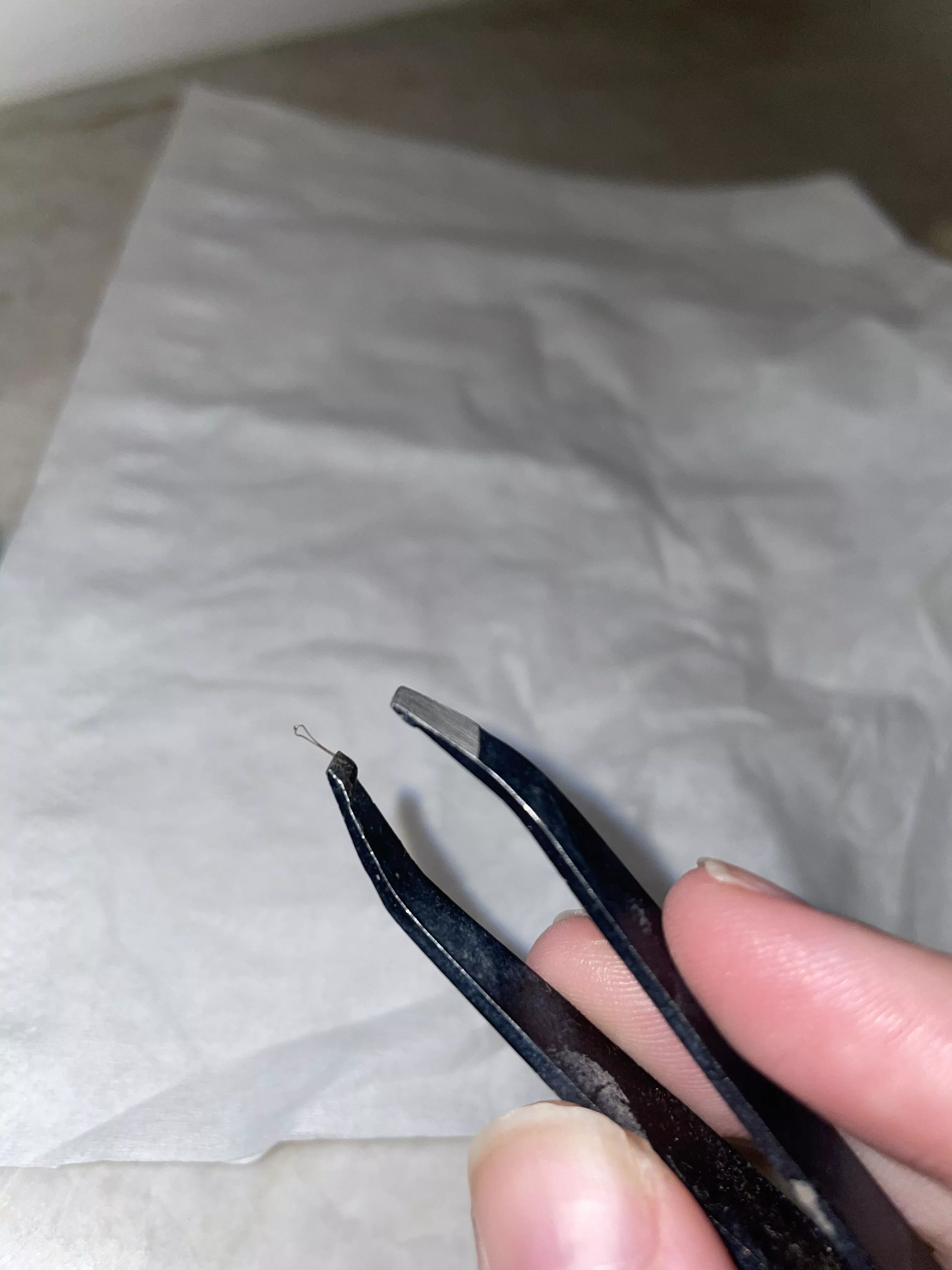 Ingrown hair formed a little loop when I plucked it out posted by annahident