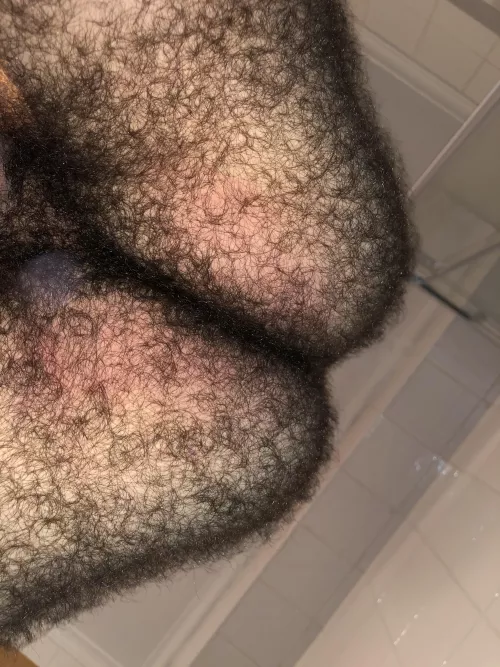 Insanely haiyr or not? by sectshyster