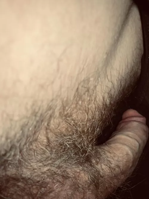 Inside look by Ytrius