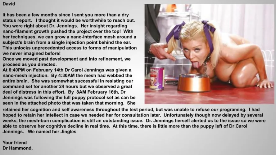 Inter office Correspondence with in FEMD by LordOseleon