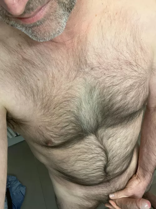 Introductory post by diligentpapers