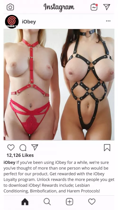 iObey Post: Brand New Loyalty Program by Property_Gold