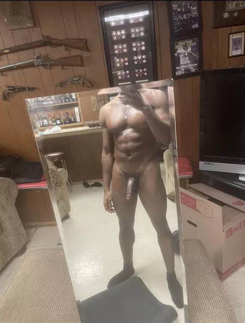 Irvine bull looking to breed by Dangerous-Test2771