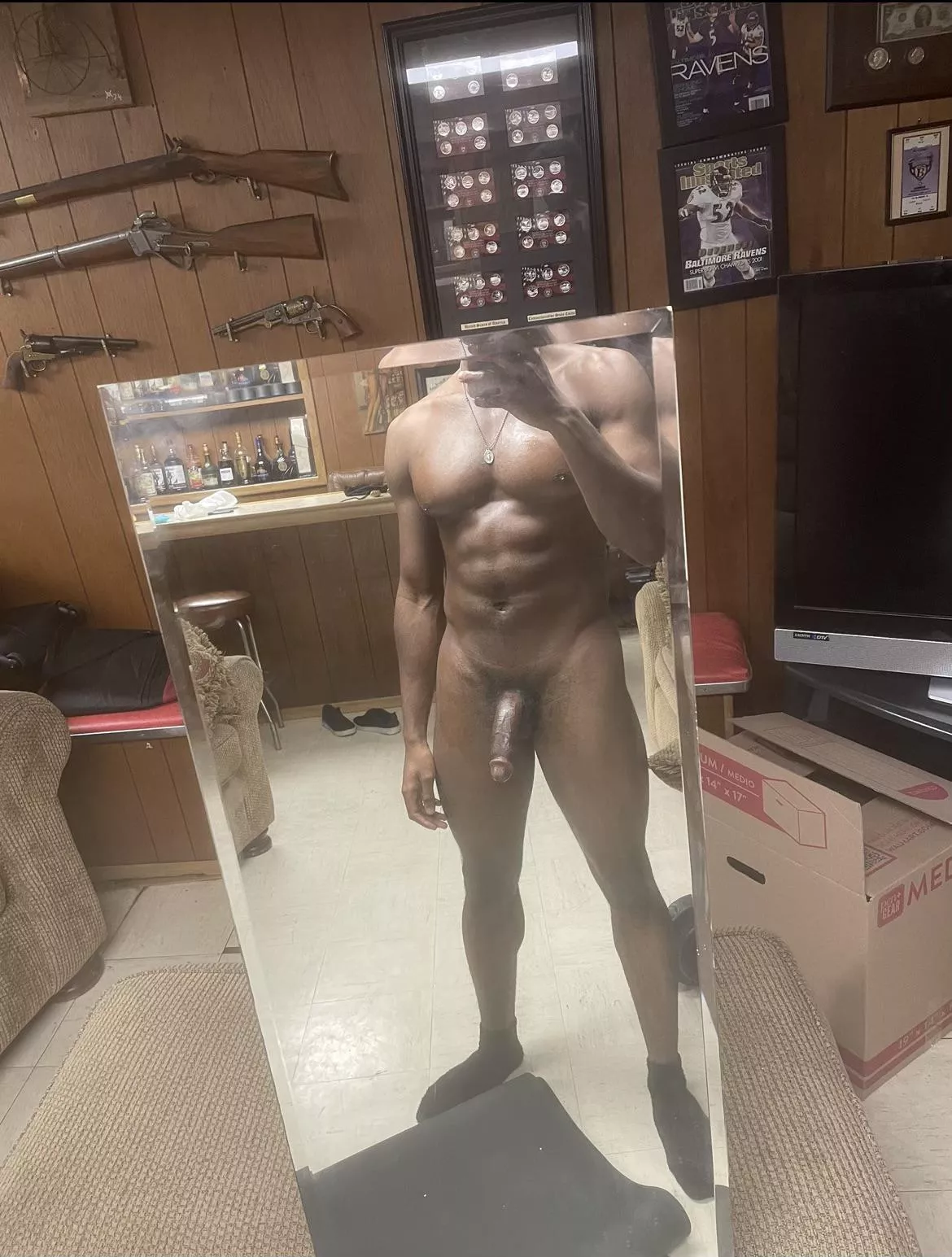 Irvine bull looking to breed posted by Dangerous-Test2771