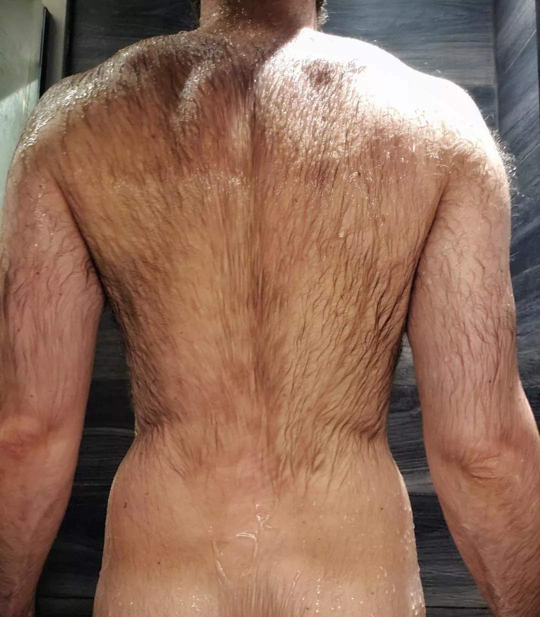 Is hairy back appreciated here? posted by hairy_prince