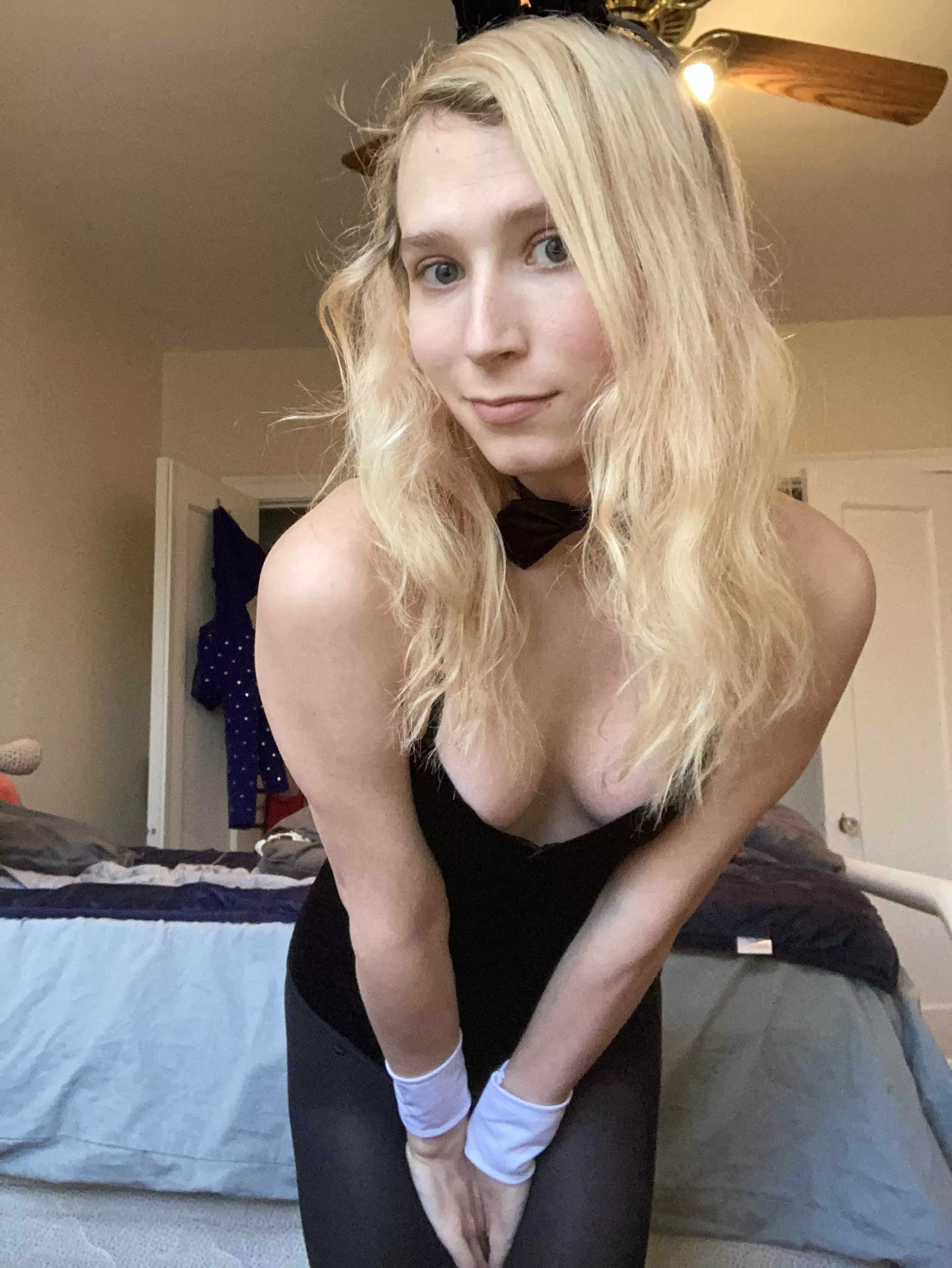 is it bunny season yet? posted by KeySatisfaction2704