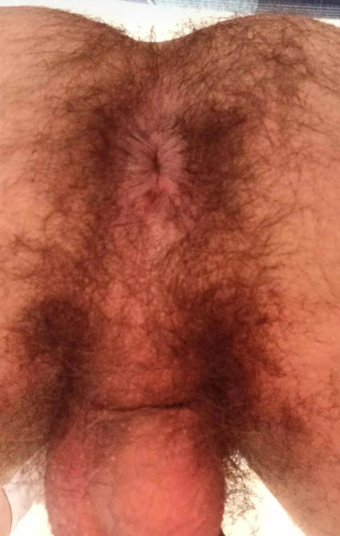 Is it hairy enough for you? posted by trouble_double1