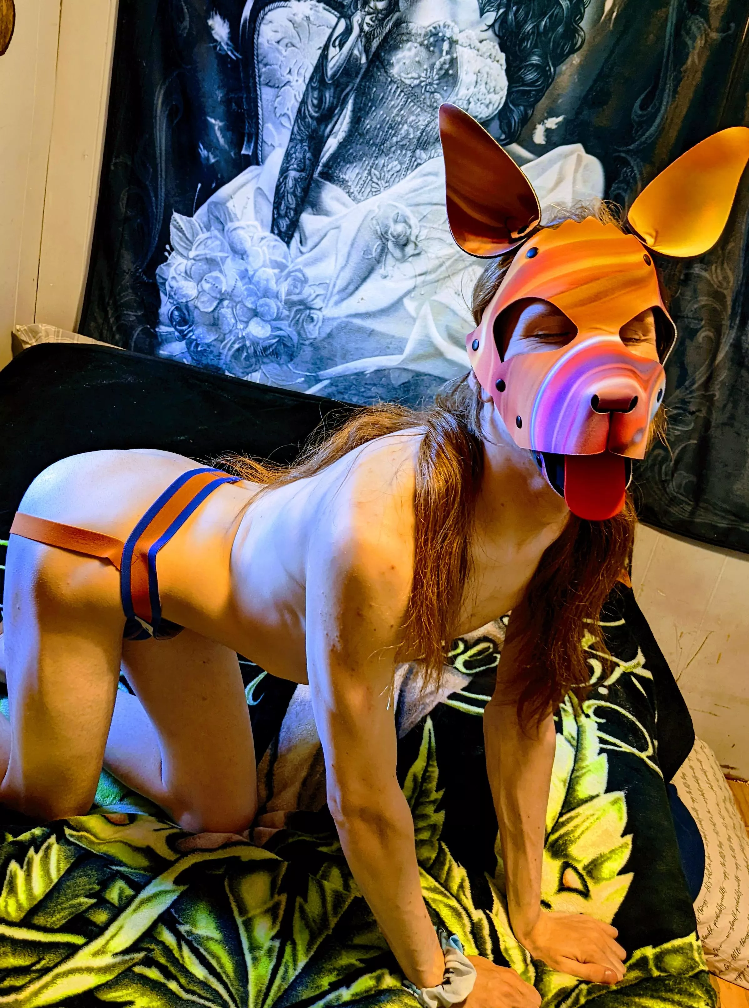 is it play time yet? 🐶😋🤫 posted by ColorfulCryptoPup420