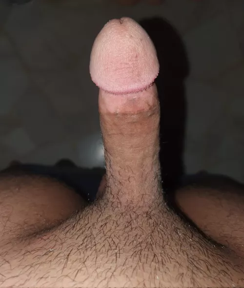 Is it small or average? by kai18003