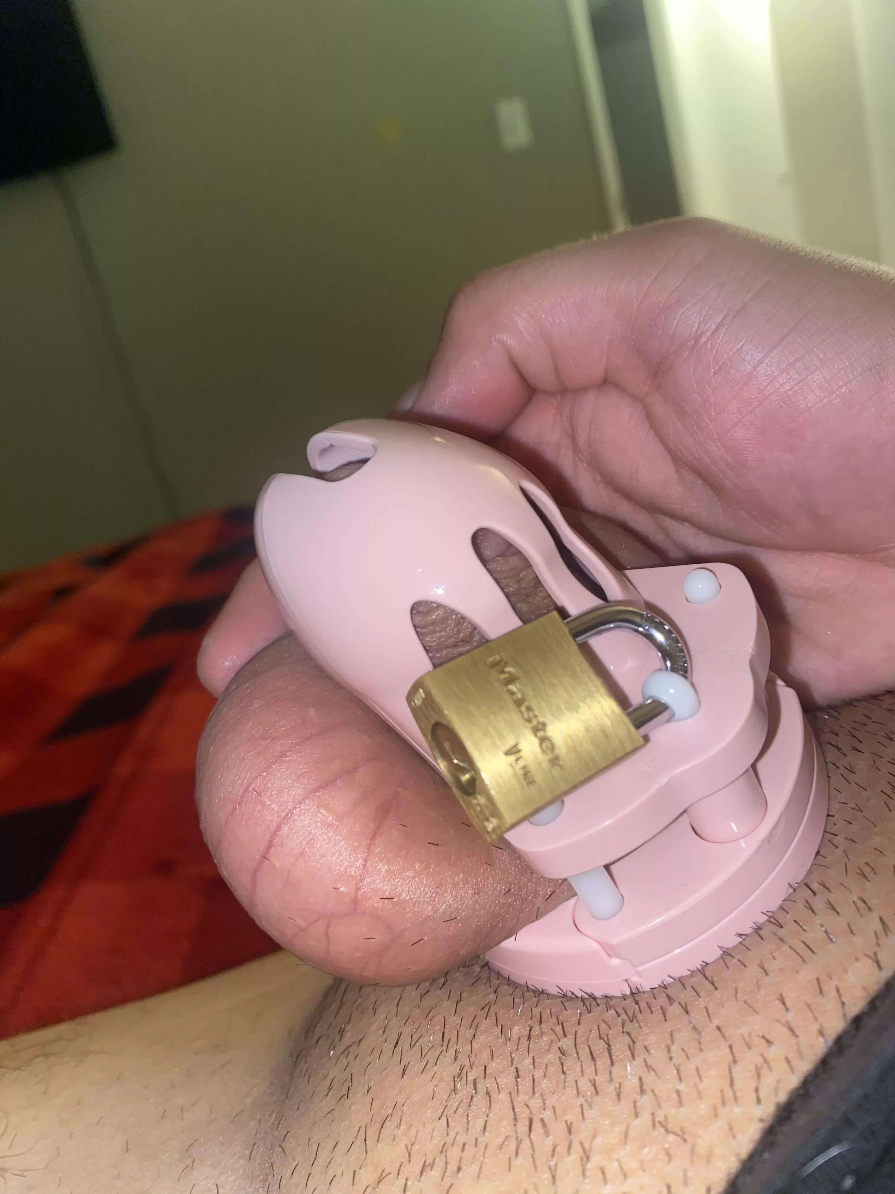 Is it time for a smaller cage? posted by Realistic_Ad6944