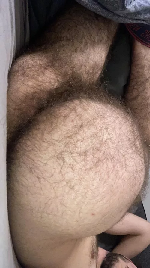 Is my sas big? by photographabove