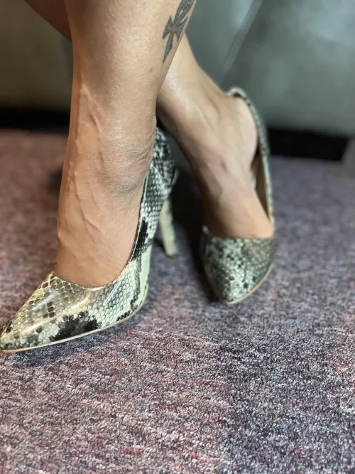 Is she a cold hearted snake? by MiaCrackedSoles