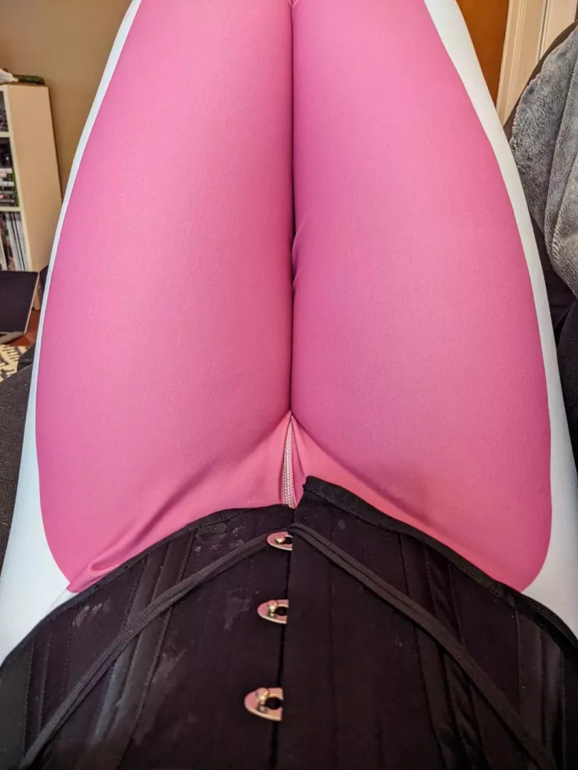 Is that cum on my corset or are you just happy to see me? posted by anonymouslyanoymous