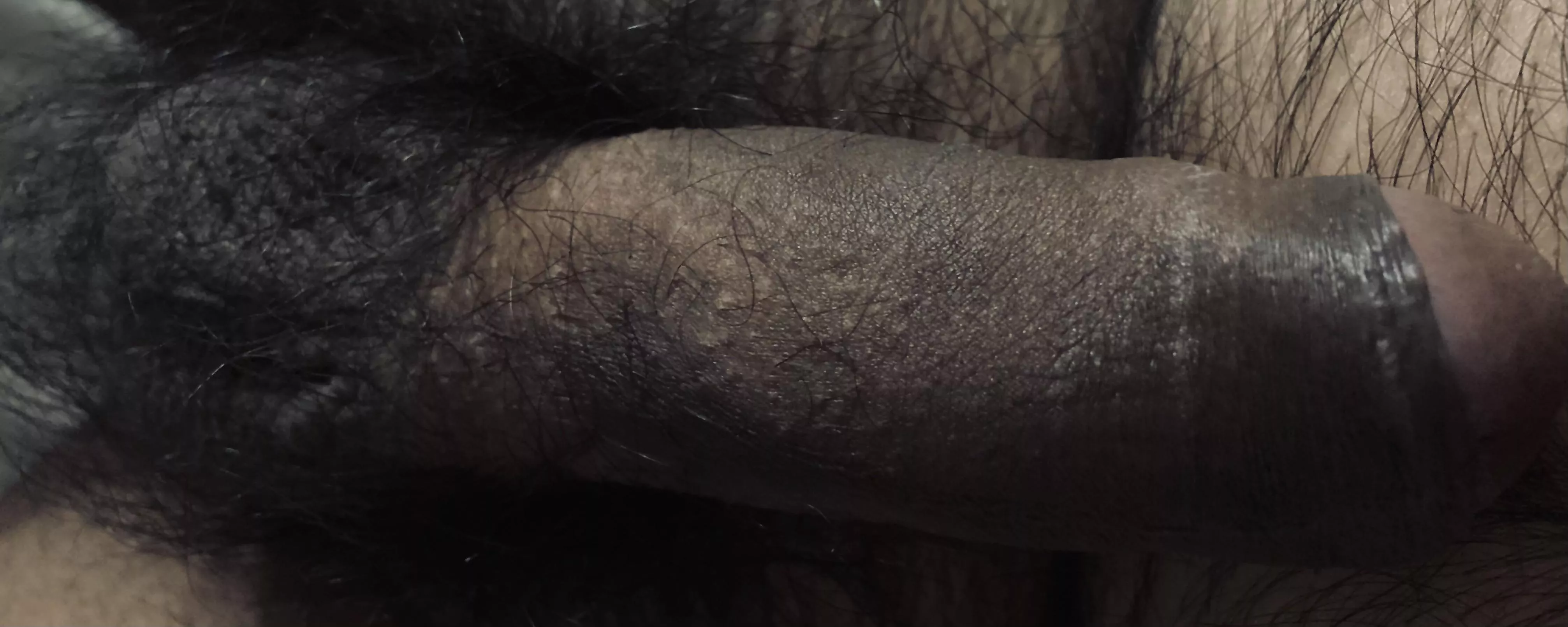 Is that hairy enough for u posted by throwrajafet