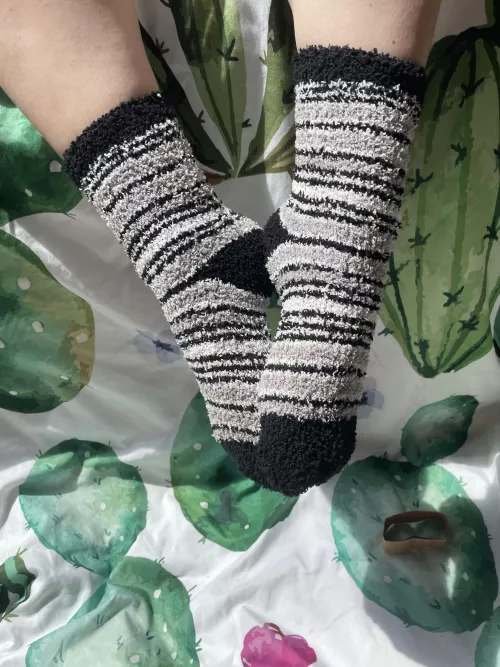 Is the hole too tight to see or can you find it? by JennysPerfectPaws