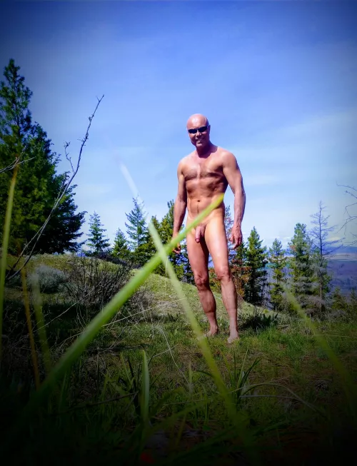 Is the neighbor looking out their window? by bilt2plz