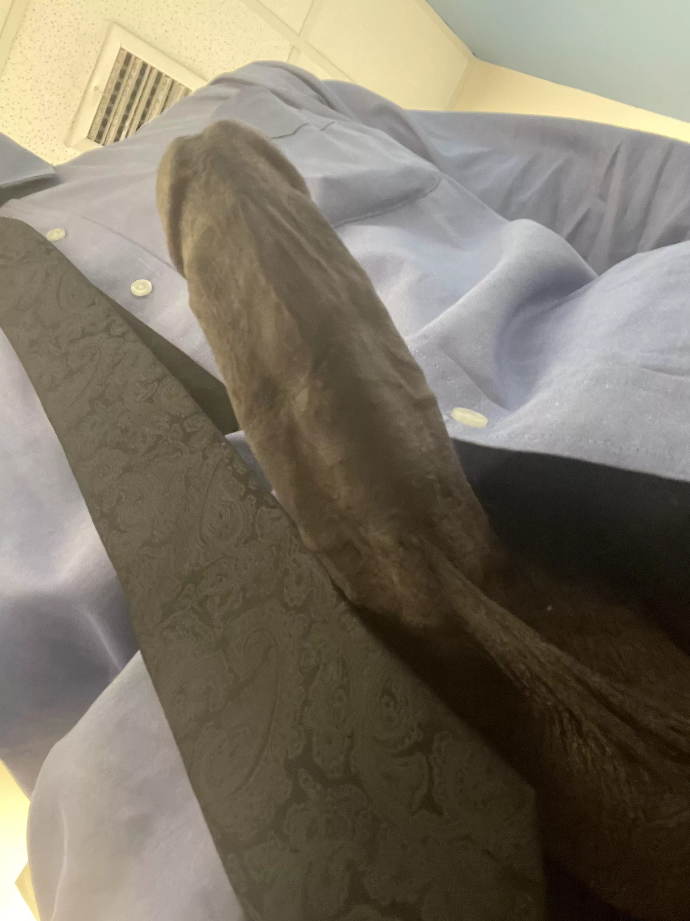 Is the supervisor supposed to act like this at work 🥴 posted by Rare_Ad4023