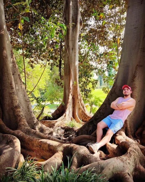 Is the tree huge? Or am I just really smol? 😗 by Yoshirandom