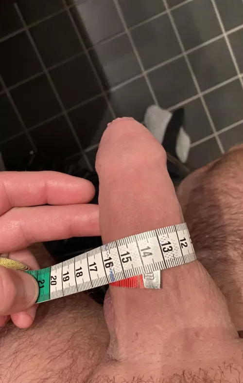 Is this good flaccid girth? by Pegbys