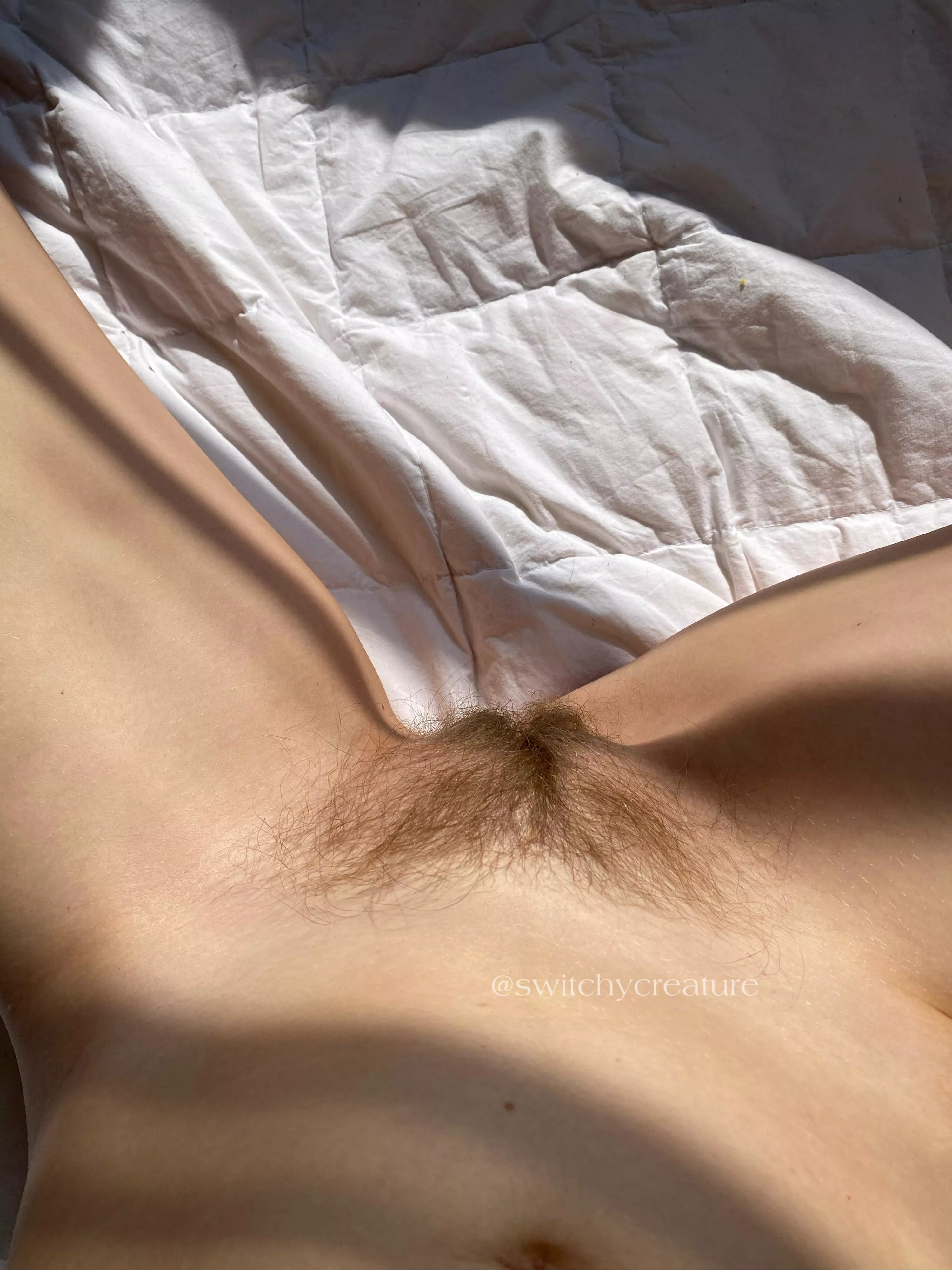 Isn’t she pretty? posted by switchycreature