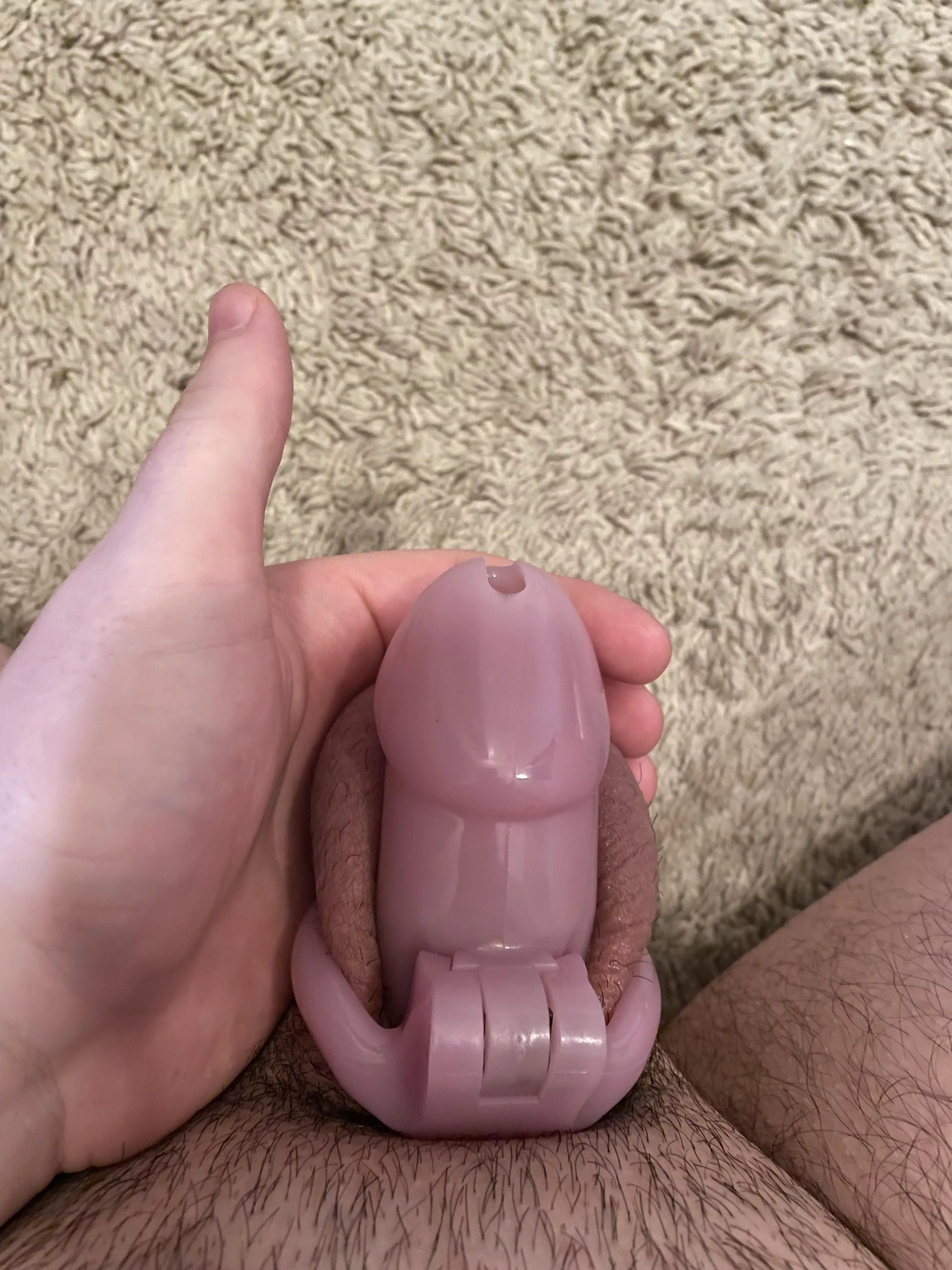 it feels like i belong in this cage 😈 posted by CaptainWangus