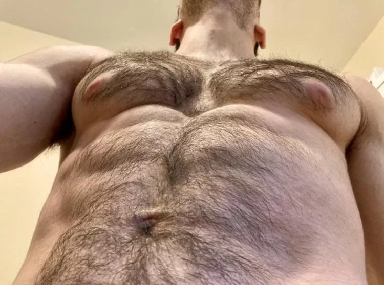 It was Reddit that told me to stop trimming my fur, and I couldn’t be more thankful posted by J-Harker