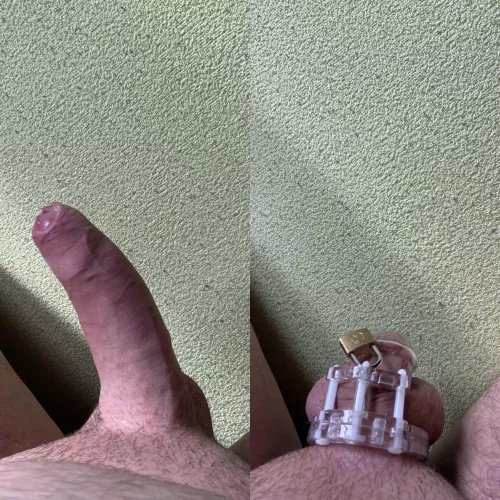 it was unlocked after 14 days. I made 100 edges and locked my cock back. I'm terribly horny I'm 20 years old and I'm still a virgin. what should i do help please. by AdPossible4559