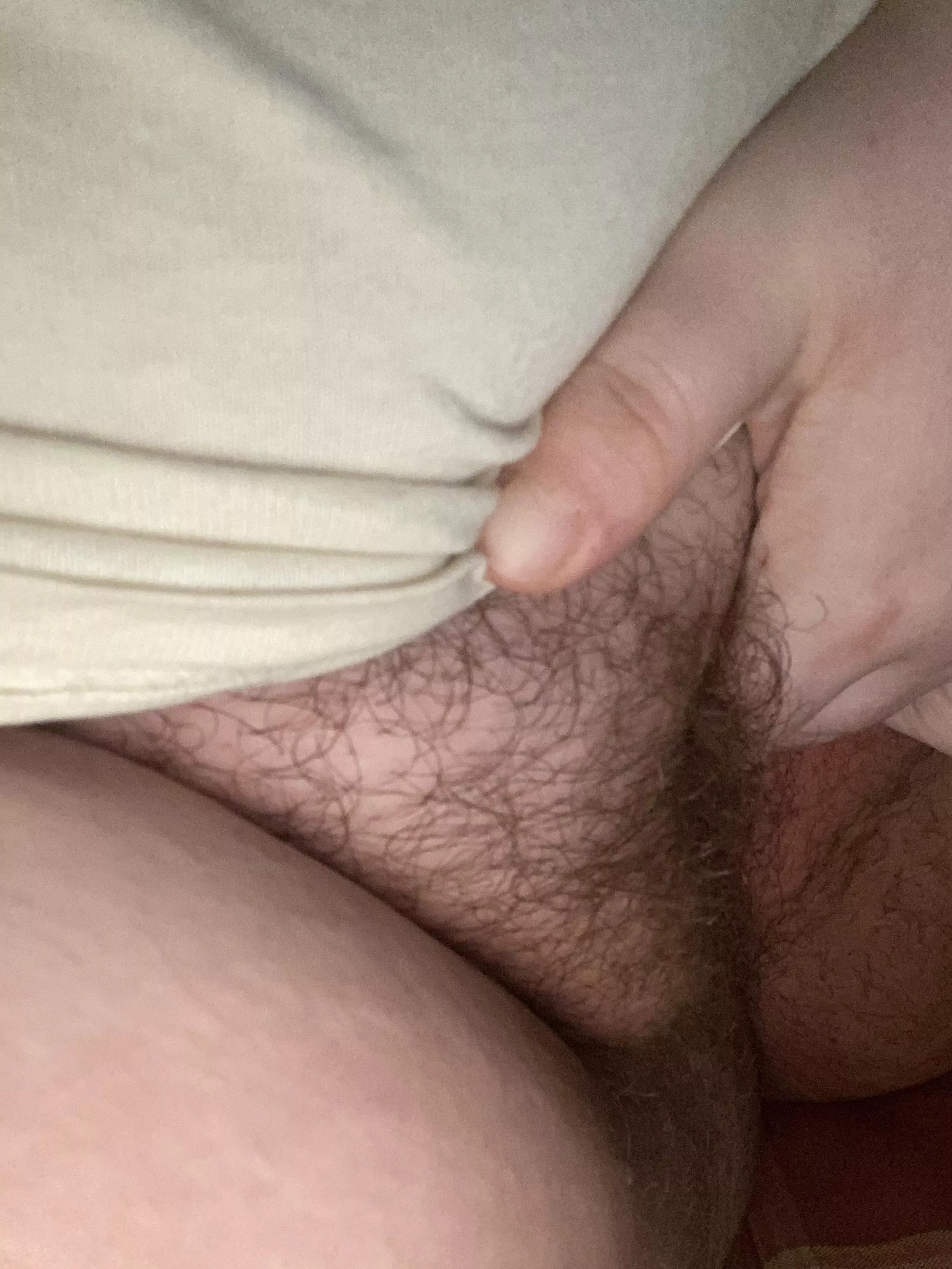 It's a lazy rainy day all I wanna do is play posted by potterhead_98