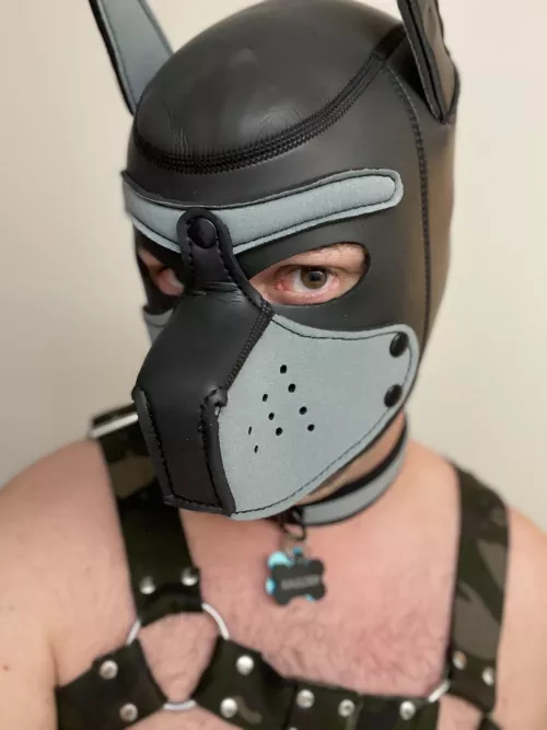 It’s all in the eye contact. by Typical-Bumblebee-79