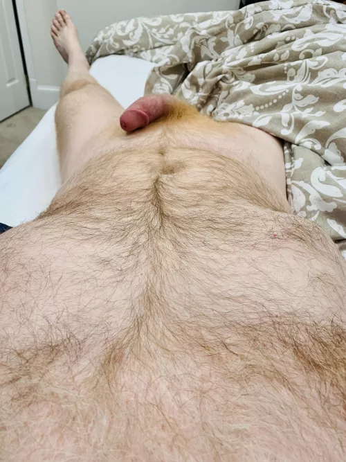 It’s almost like my gingery fur leads a path directly to my… by ZelaznyFan68