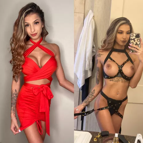 It’s always play time 😻❣️ by Haunting-Shower-7813