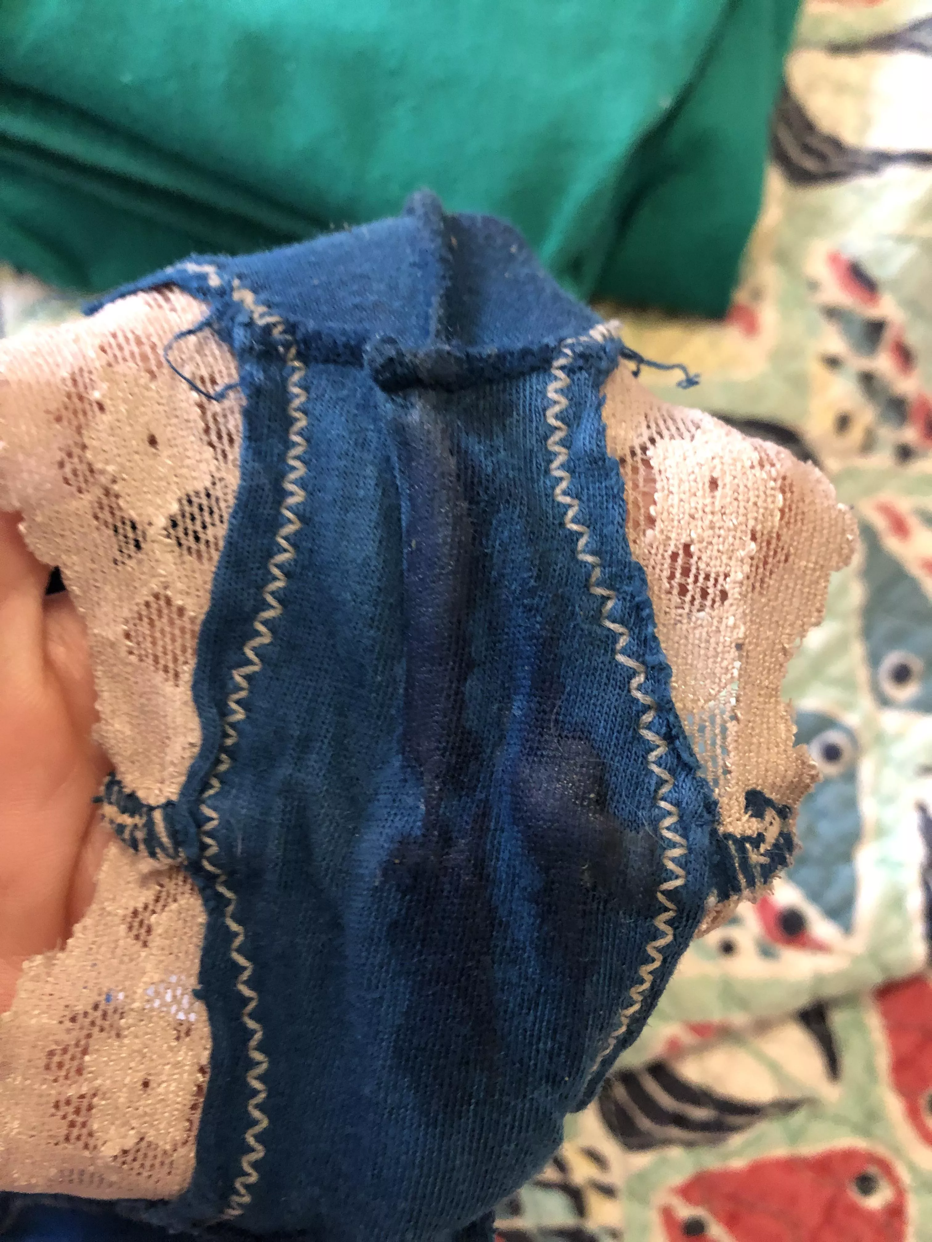 It’s been a very busy day 😍🥰 posted by colette149