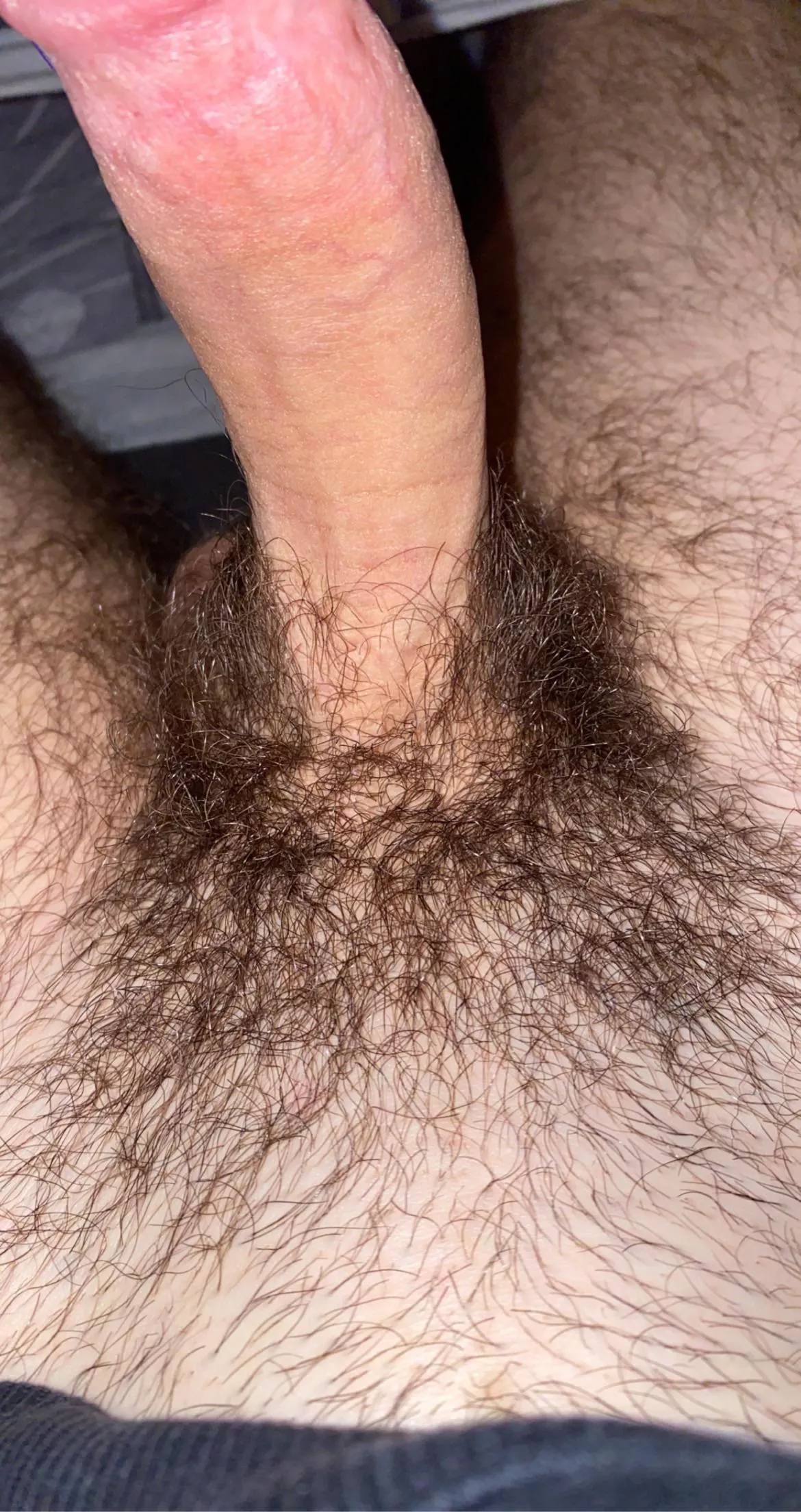 it’s coming back in nicely don’t you think? posted by nnweir