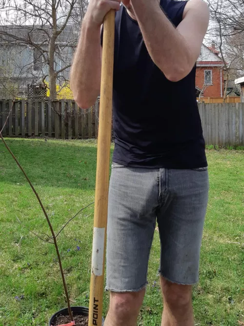 It's Earth Day, plant a tree 🌳 by sixfivealive