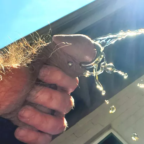 It's easier just to piss outside. Who wants to join me? by 7inlicker