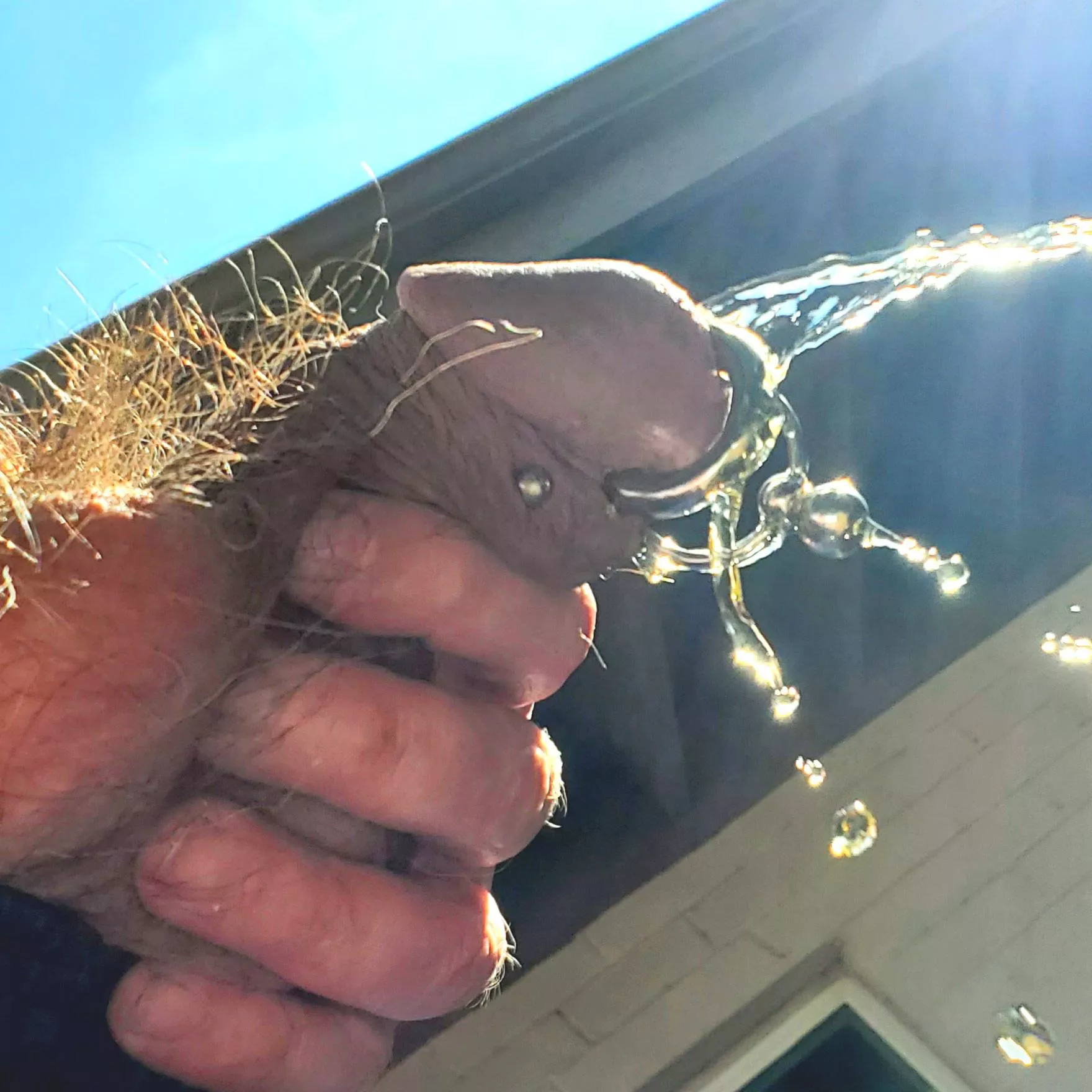 It's easier just to piss outside. Who wants to join me? posted by 7inlicker