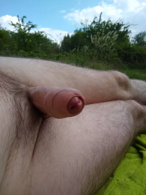 It's enjoying the sunny weather by Spirited_Sir_5583