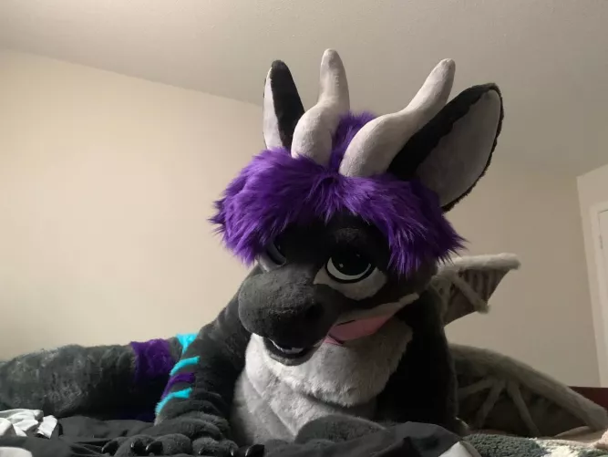 △ It's Friday again! Time for snugs. ^.=.^ by SerenDuskflare