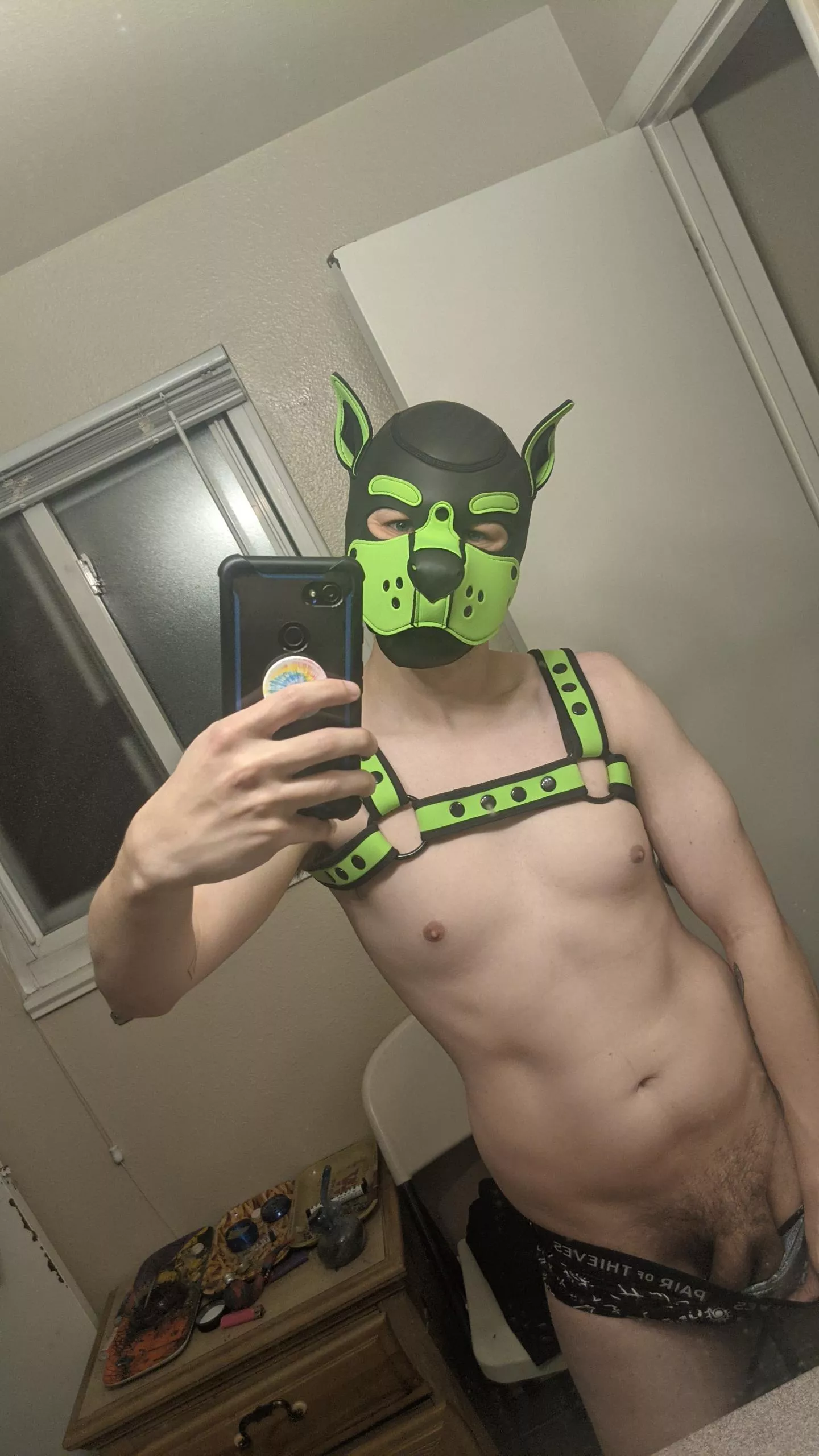 it's gonna be a good day Puppers 😁 posted by DoodTheDoggo