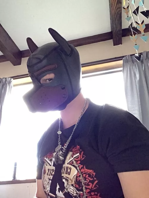 It’s here by sufferingpup