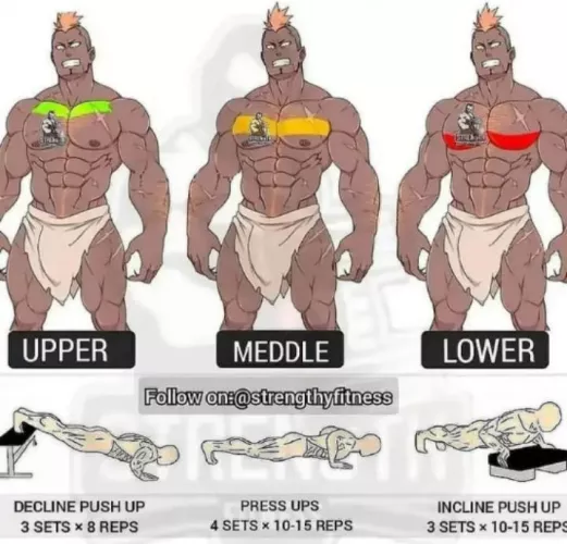 it's hilarious how many fitness accounts unknowingly use bara art!!!😂 by Successful_Film_1041