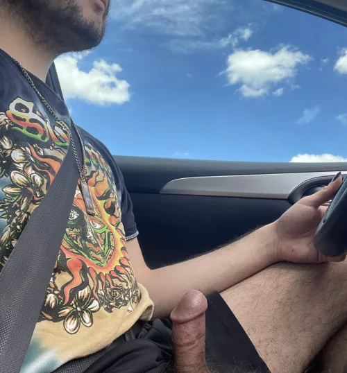 It’s important to stay entertained on long drives 😉 by vaczega